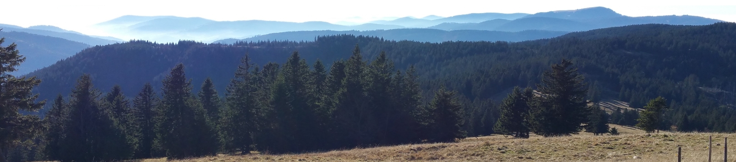 Die idyllische Landschaft